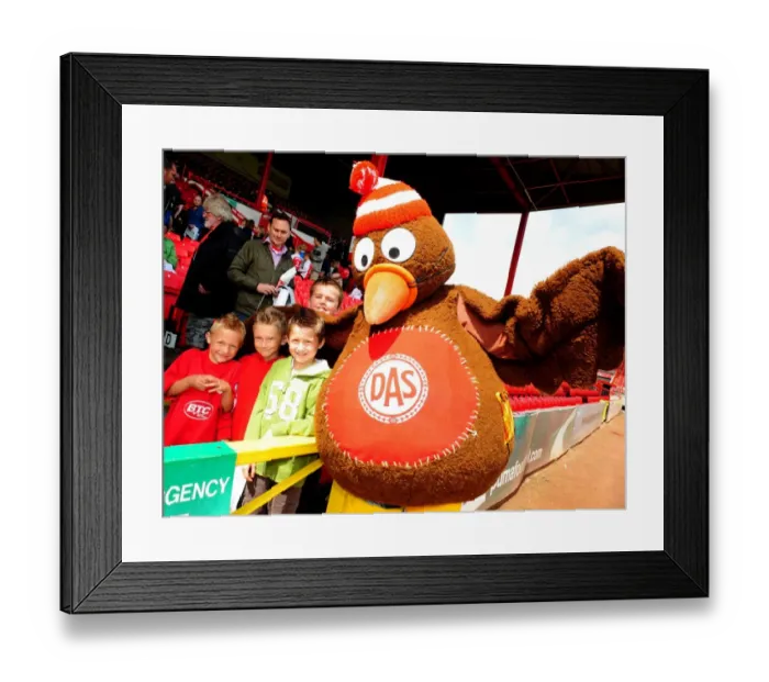 Framed Print : Bristol City FC First Team Open Day 09-10: Behind the Scenes with the Squad
