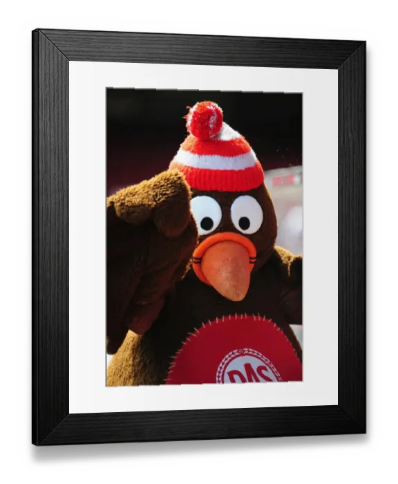 Framed Print : Bristol City FC First Team Open Day 09-10: Behind the Scenes with the Squad Framed Print : Bristol City FC First Team Open Day 09-10: Behind the Scenes with the Squad