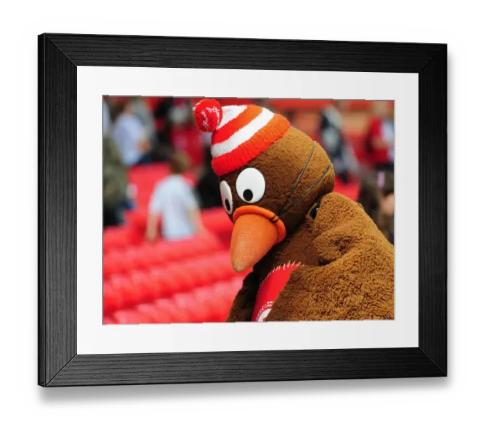 Framed Print : Bristol City FC First Team Open Day 09-10: A Peek into the Season