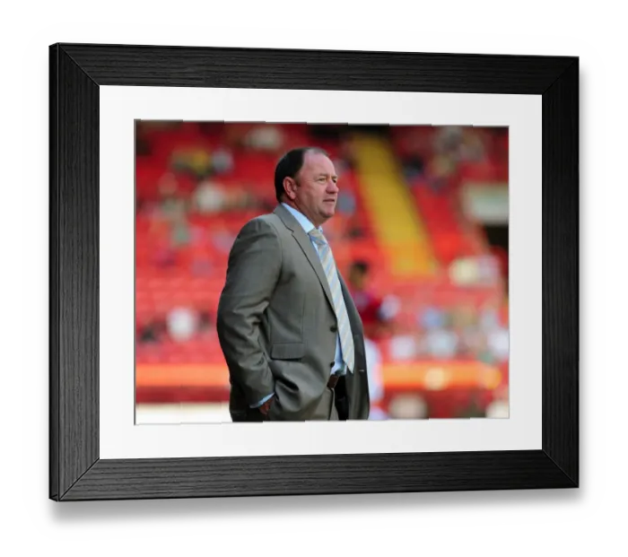 Framed Print : Bristol City vs. Wolverhampton Wanderers: Pre-Season Friendly (09-10)