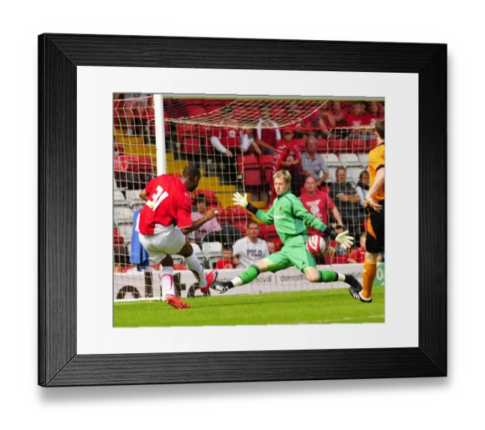 Framed Print : Bristol City vs. Wolverhampton Wanderers: Pre-Season Friendly (09-10)