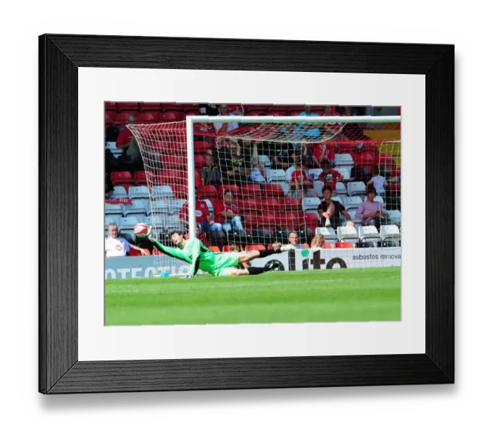 Framed Print : Bristol City vs. Wolverhampton Wanderers: Pre-Season Friendly (09-10)