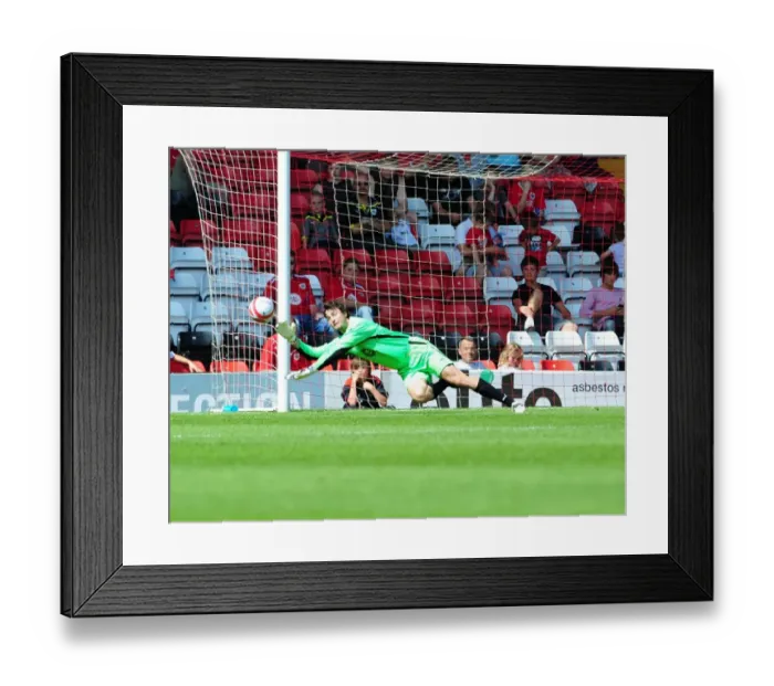 Framed Print : Bristol City vs. Wolverhampton Wanderers: 09-10 Pre-Season Friendly Framed Print : Bristol City vs. Wolverhampton Wanderers: 09-10 Pre-Season Friendly