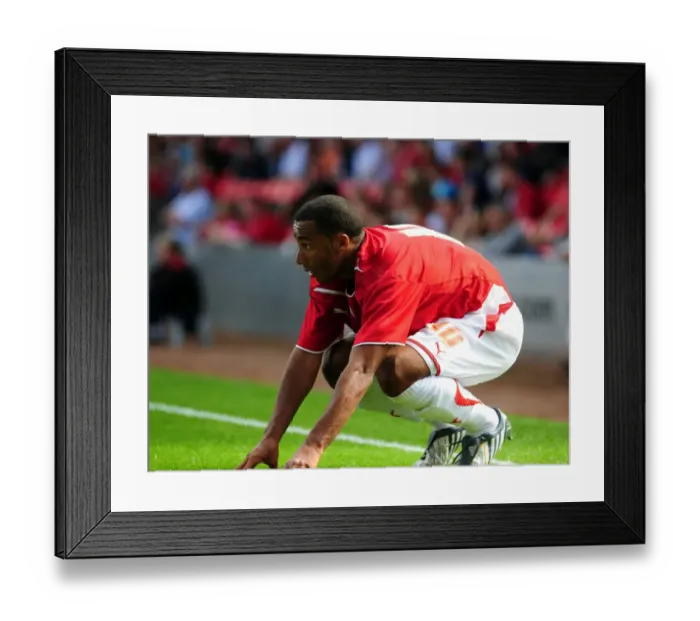 Framed Print : Bristol City vs. Wolverhampton Wanderers: Pre-Season Friendly (09-10)