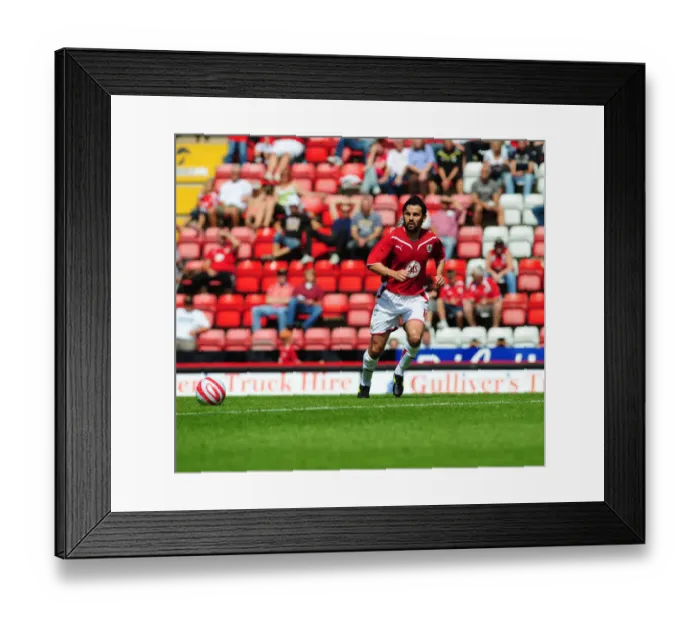 Framed Print : Bristol City vs. Wolverhampton Wanderers: Pre-Season Friendly (09-10)