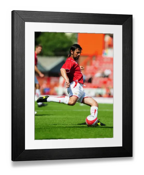 Framed Print : Bristol City vs. Wolverhampton Wanderers: Pre-Season Friendly (09-10)