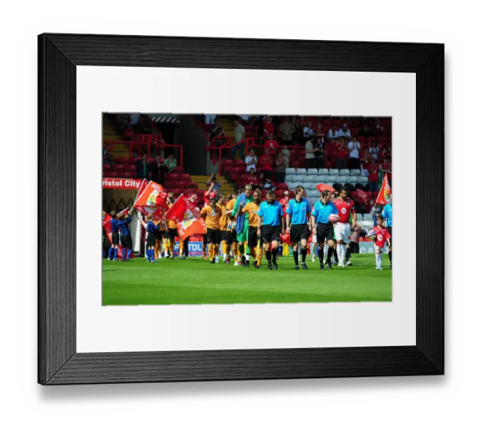 Framed Print : Bristol City vs. Wolverhampton Wanderers: Pre-Season Friendly (09-10)