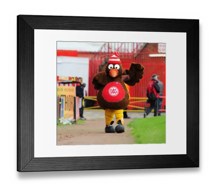 Framed Print : Bristol City vs Wycombe Wanderers: Pre-Season Friendly (2009-10) Framed Print : Bristol City vs Wycombe Wanderers: Pre-Season Friendly (2009-10)
