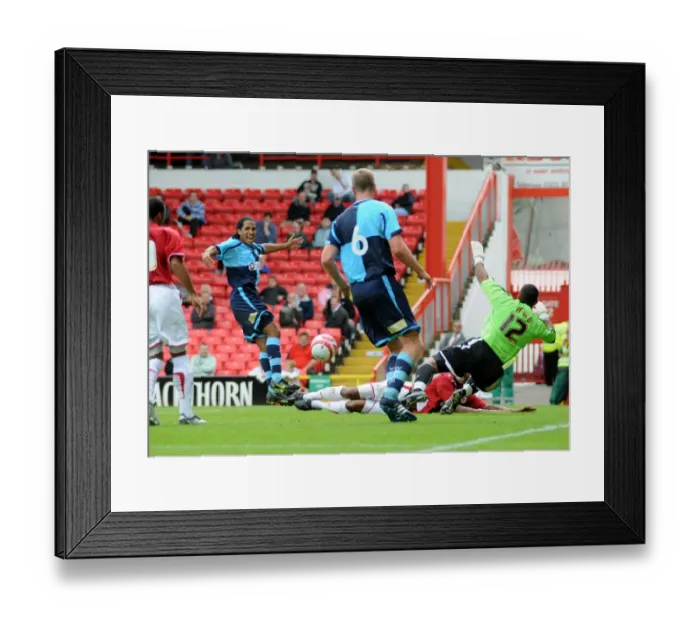 Framed Print : Bristol City vs Wycombe Wanderers: 2009-10 Pre-Season Friendly