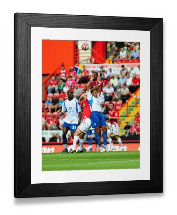 Framed Print : Bristol City vs. Crystal Palace: A Football Rivalry - Season 09-10