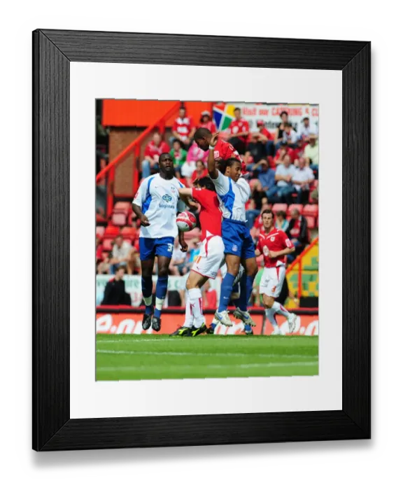 Framed Print : Bristol City vs. Crystal Palace: A Football Rivalry - Season 09-10 Framed Print : Bristol City vs. Crystal Palace: A Football Rivalry - Season 09-10