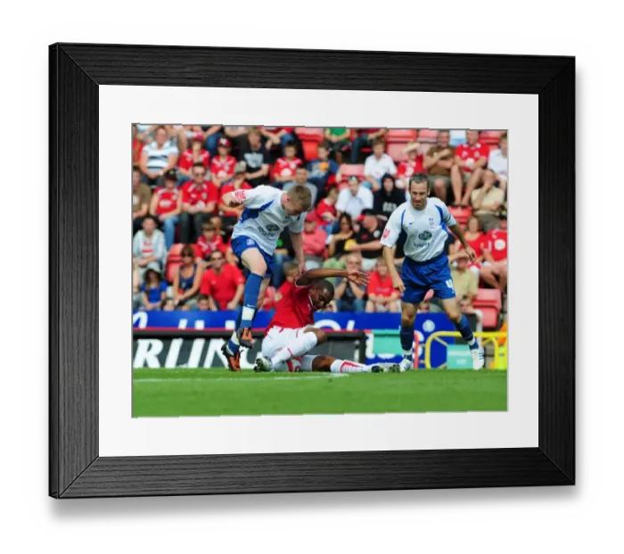 Framed Print : Bristol City First Team: Season 09-10: Bristol City v Crystal Palace