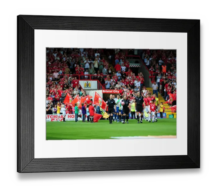 Framed Print : Bristol City First Team: Season 09-10: Bristol City v Crystal Palace