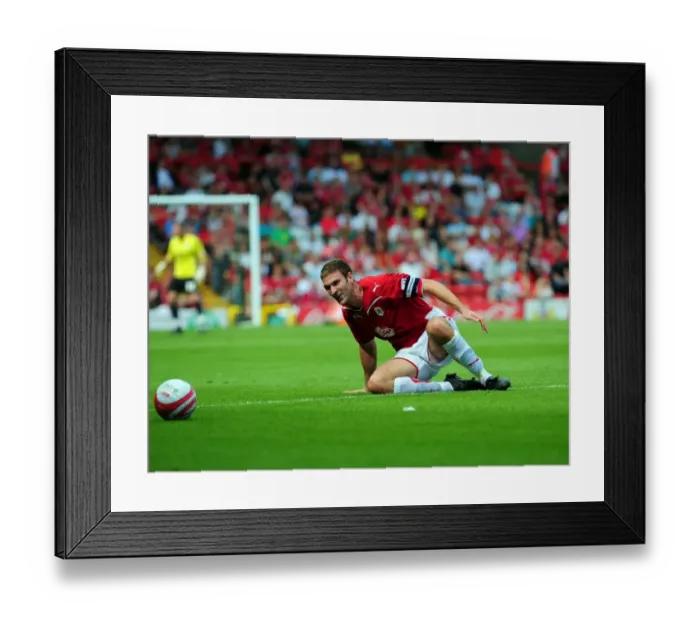 Framed Print : Bristol City vs. Crystal Palace: A Football Rivalry - Season 09-10
