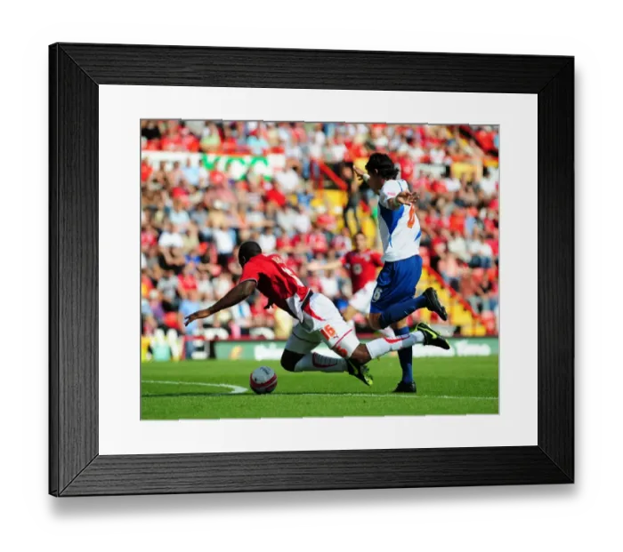 Framed Print : Bristol City vs. Crystal Palace: A Football Rivalry - Season 09-10 Framed Print : Bristol City vs. Crystal Palace: A Football Rivalry - Season 09-10