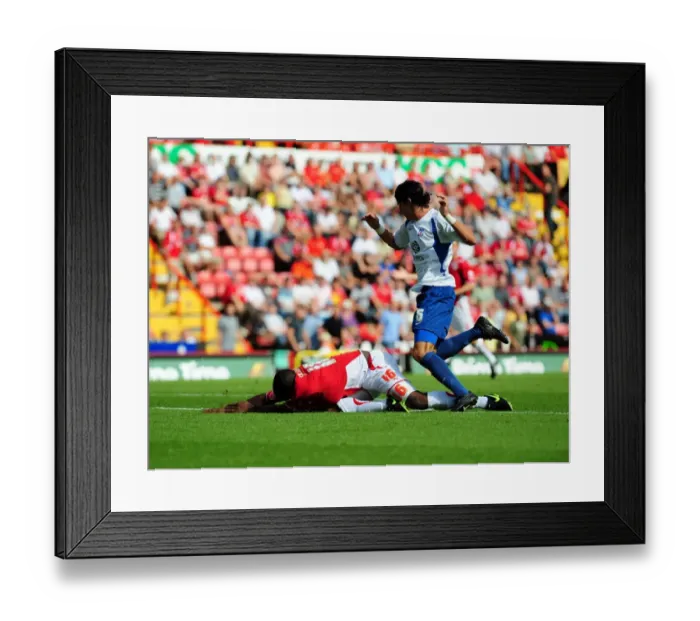 Framed Print : Bristol City vs. Crystal Palace: A Football Rivalry - Season 09-10 Framed Print : Bristol City vs. Crystal Palace: A Football Rivalry - Season 09-10