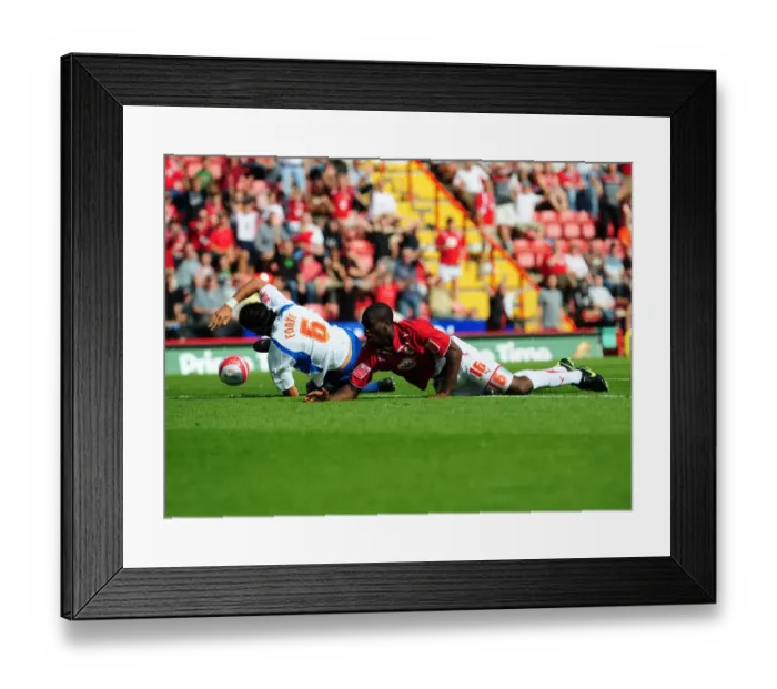 Framed Print : Bristol City vs. Crystal Palace: A Football Rivalry - Season 09-10 Framed Print : Bristol City vs. Crystal Palace: A Football Rivalry - Season 09-10