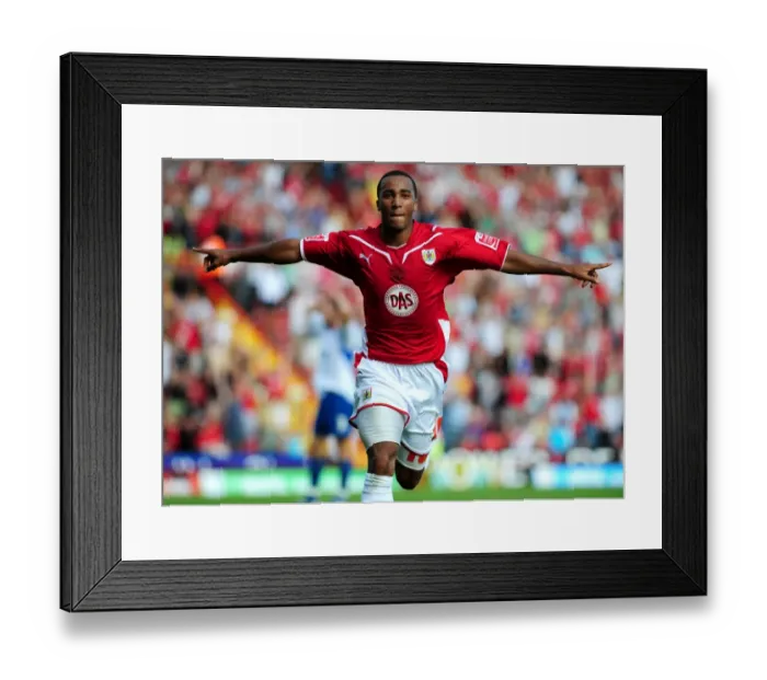Framed Print : Bristol City v Crystal Palace Framed Print : Bristol City v Crystal Palace