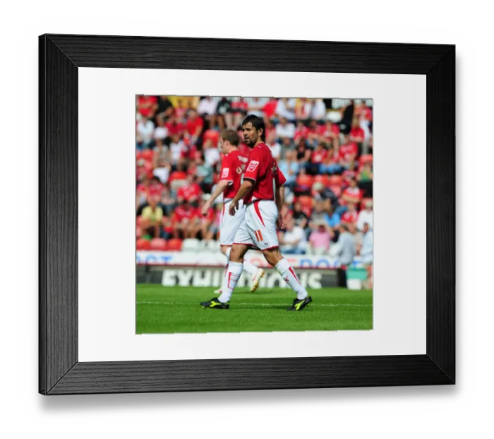 Framed Print : Bristol City vs. Crystal Palace: A Football Rivalry - Season 09-10 Framed Print : Bristol City vs. Crystal Palace: A Football Rivalry - Season 09-10