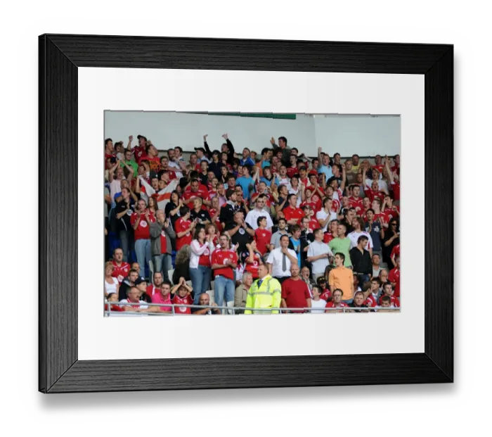Framed Print : Cardiff City v Bristol City Framed Print : Cardiff City v Bristol City