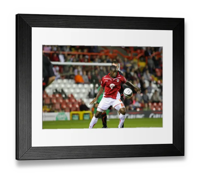 Framed Print : Bristol City vs Carlisle United: 09-10 Season Framed Print : Bristol City vs Carlisle United: 09-10 Season
