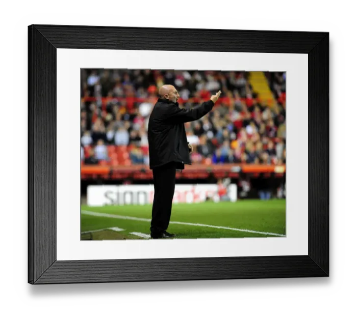 Framed Print : Bristol City vs Blackpool: Season 09-10