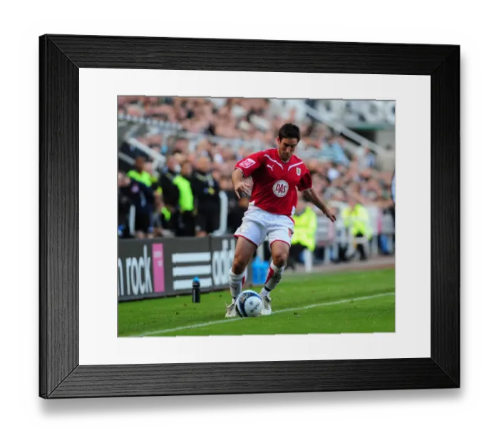 Framed Print : Lee Johnson Framed Print : Lee Johnson