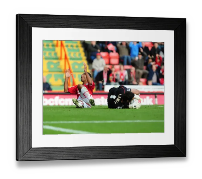 Framed Print : Bristol City vs Peterborough United: A Football Rivalry - Season 09-10 Framed Print : Bristol City vs Peterborough United: A Football Rivalry - Season 09-10