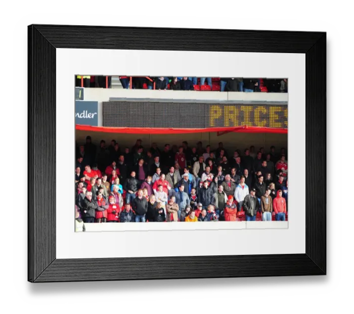 Framed Print : Bristol City fans