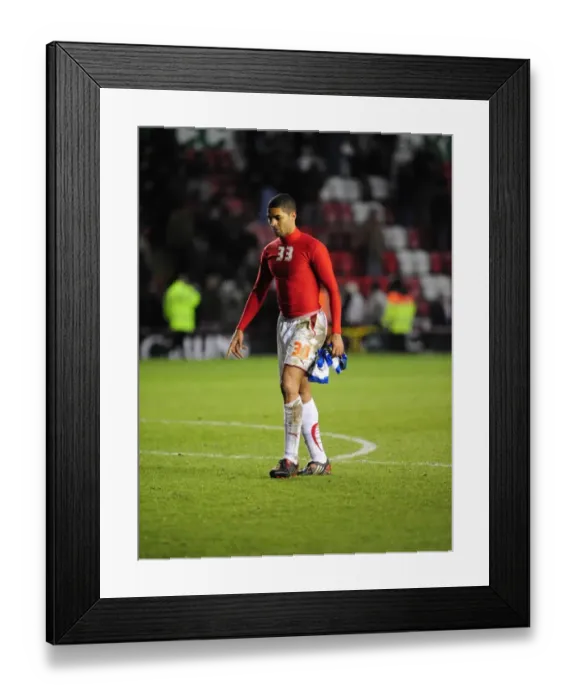 Framed Print : Bristol City vs. Reading: 09-10 Season Framed Print : Bristol City vs. Reading: 09-10 Season