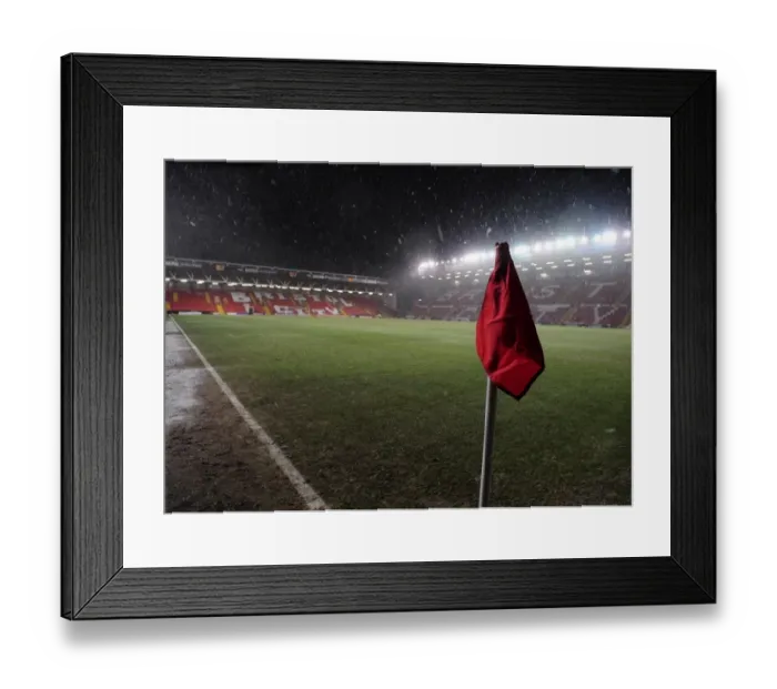 Framed Print : Bristol City vs Cardiff City: FA Cup Clash - Season 09-10