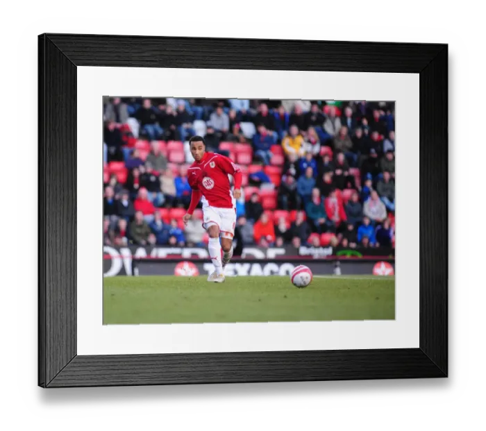 Framed Print : Bristol City First Team: Season 09-10: Bristol City V Preston North End Framed Print : Bristol City First Team: Season 09-10: Bristol City V Preston North End
