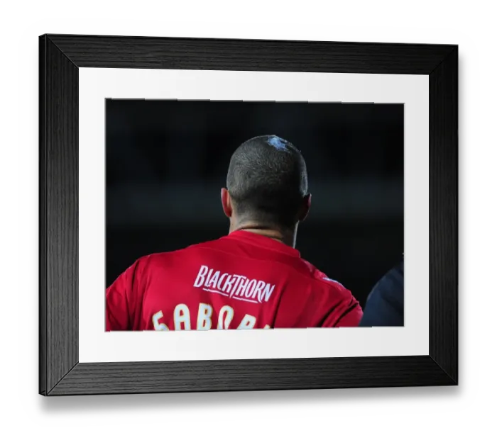 Framed Print : Watford vs. Bristol City: A Football Rivalry - Season 09-10 Framed Print : Watford vs. Bristol City: A Football Rivalry - Season 09-10