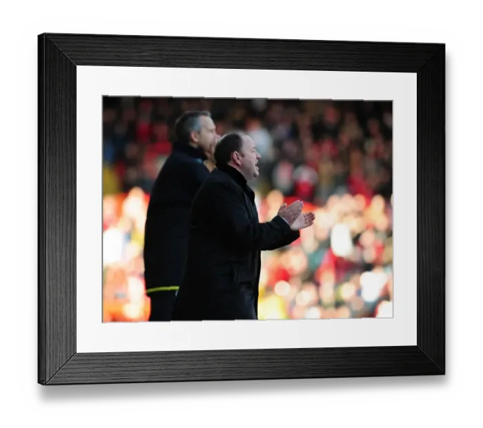 Framed Print : Bristol City vs. West Bromwich Albion: A Football Rivalry - Season 09-10 Framed Print : Bristol City vs. West Bromwich Albion: A Football Rivalry - Season 09-10