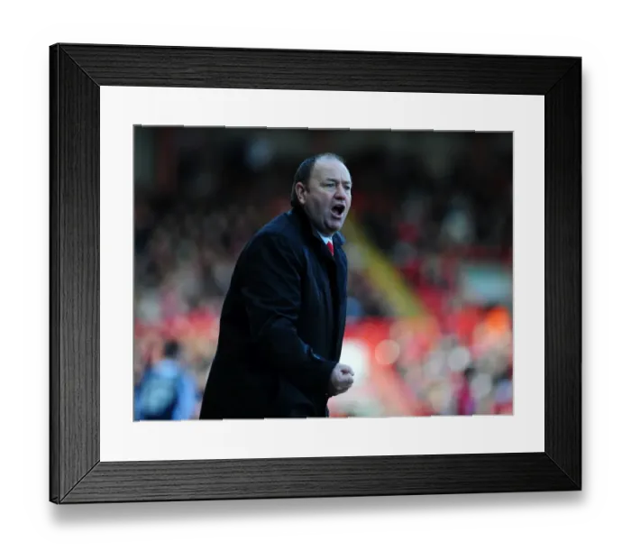Framed Print : Bristol City vs. West Bromwich Albion: A Football Rivalry - Season 09-10 Framed Print : Bristol City vs. West Bromwich Albion: A Football Rivalry - Season 09-10
