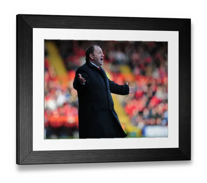 Framed Print : Bristol City vs. West Bromwich Albion: A Football Rivalry - Season 09-10 Framed Print : Bristol City vs. West Bromwich Albion: A Football Rivalry - Season 09-10