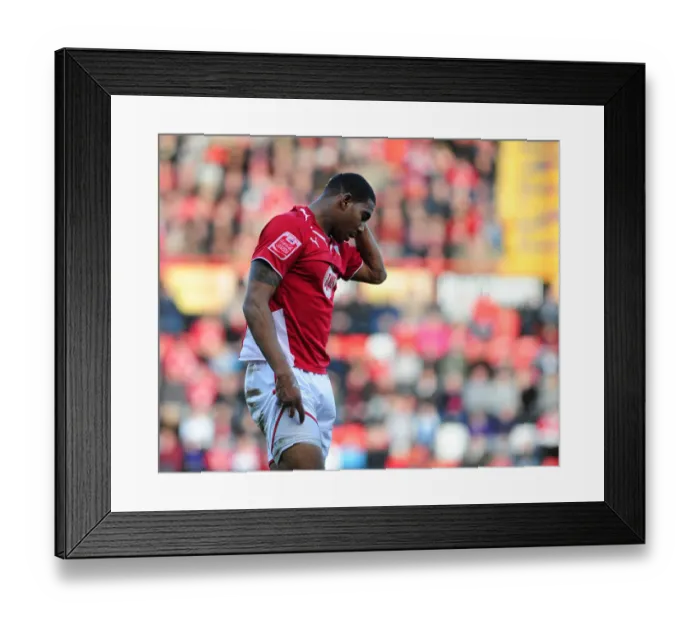 Framed Print : Bristol City vs. West Bromwich Albion: A Football Rivalry - Season 09-10 Framed Print : Bristol City vs. West Bromwich Albion: A Football Rivalry - Season 09-10