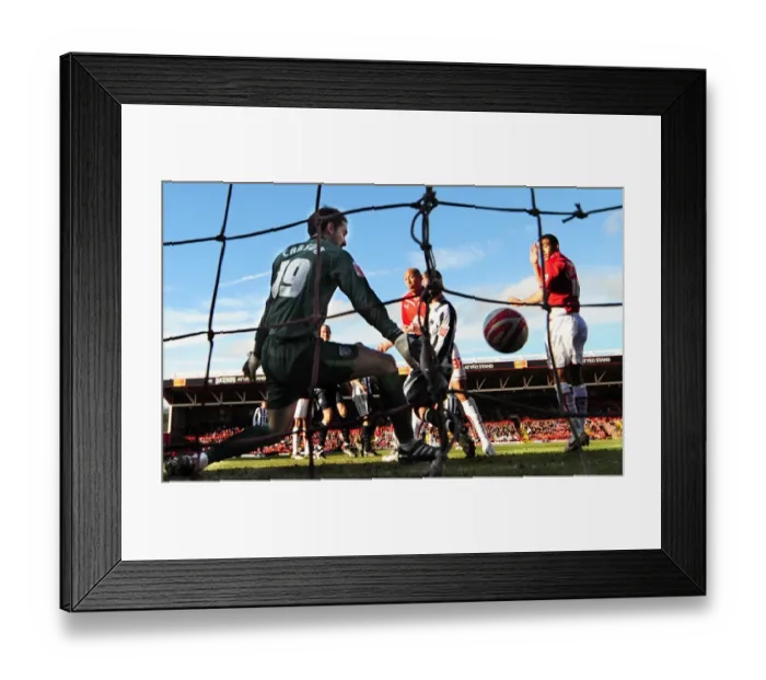 Framed Print : Chris Iwelumo's Thrilling Goal Celebration vs. West Bromwich Albion, 2010 - Football Championship, Bristol City Framed Print : Chris Iwelumo's Thrilling Goal Celebration vs. West Bromwich Albion, 2010 - Football Championship, Bristol City