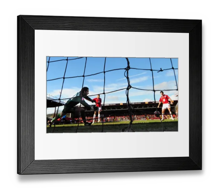 Framed Print : Bristol City's Lee Johnson Celebrates Second Goal Against West Bromwich Albion's Scott Carson, Championship Football Match, 21st February 2010 Framed Print : Bristol City's Lee Johnson Celebrates Second Goal Against West Bromwich Albion's Scott Carson, Championship Football Match, 21st February 2010
