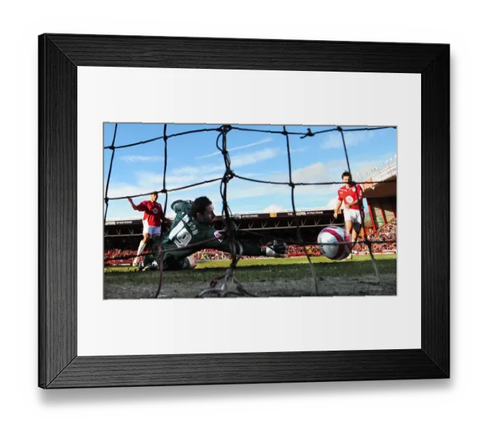 Framed Print : Lee Johnson's Euphoric Moment: Celebrating the Second Goal Against Scott Carson and West Bromwich Albion in Bristol City's Championship Victory (February 21, 2010)
