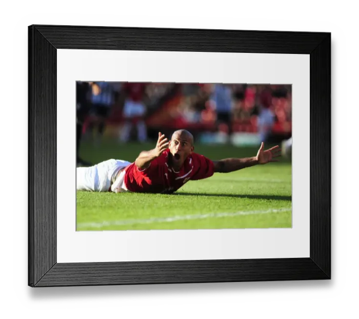 Framed Print : Chris Iwelumo in Action: Bristol City vs. West Bromwich Albion, Championship Game, Ashton Gate, 21 / 02 / 2010