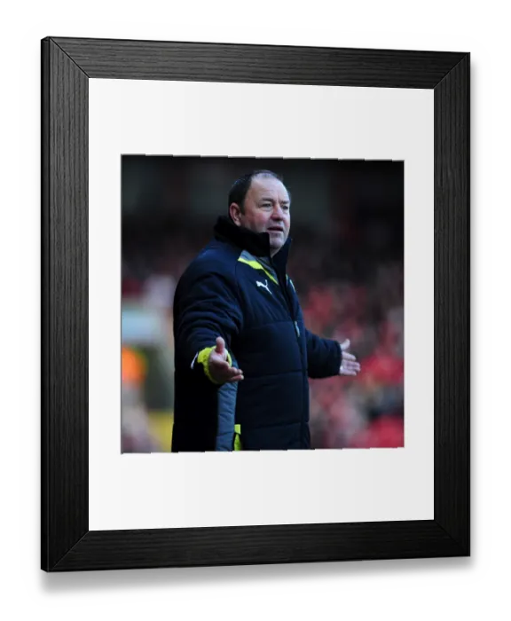 Framed Print : Bristol City 170310