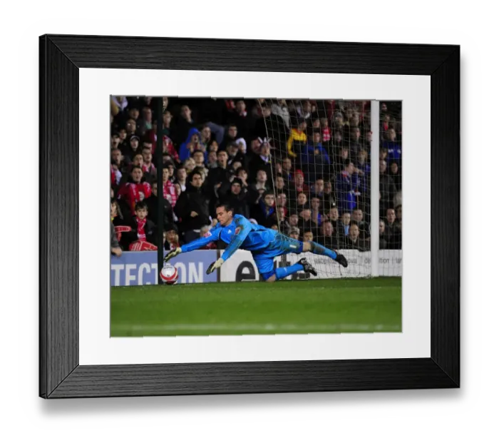 Framed Print : Steve Harper's Heroics: Saving Newcastle United in the 2010 Championship Battle at Ashton Gate Framed Print : Steve Harper's Heroics: Saving Newcastle United in the 2010 Championship Battle at Ashton Gate