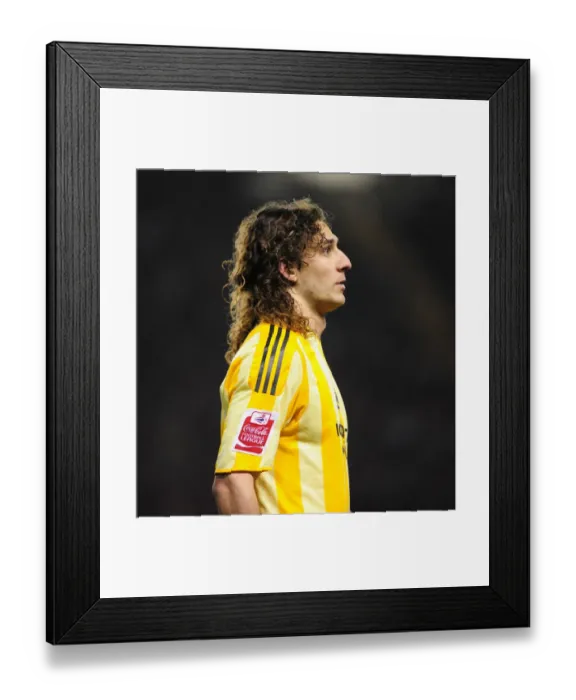 Framed Print : Coloccini at Ashton Gate: Bristol City vs. Newcastle United, Championship 2002-2003