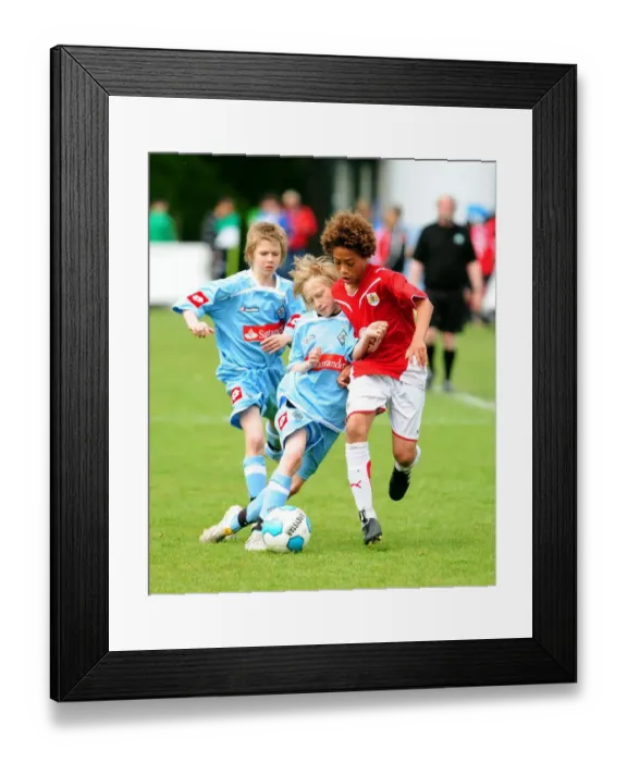 Framed Print : Bristol City First Team: Rising Stars of the 09-10 Academy Tournament Framed Print : Bristol City First Team: Rising Stars of the 09-10 Academy Tournament