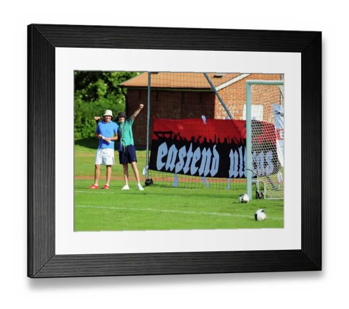 Framed Print : Bristol City flags