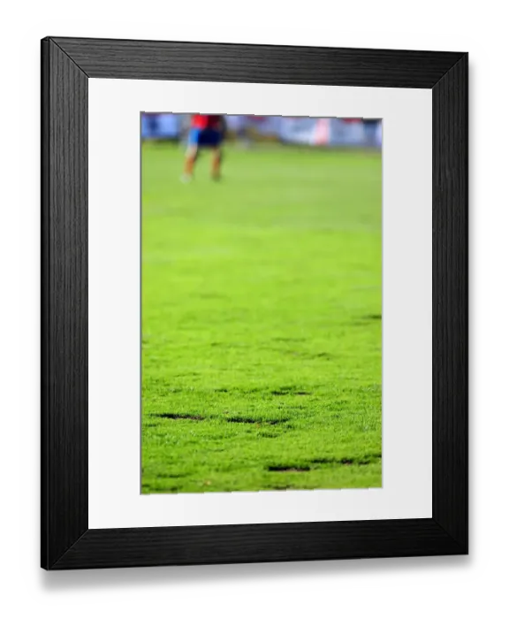 Framed Print : Divots on the pitch didn t Framed Print : Divots on the pitch didn t