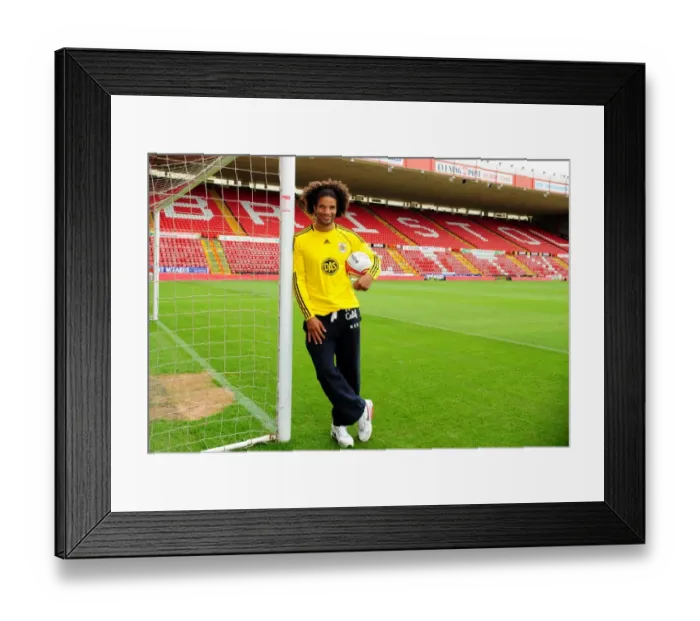 Framed Print : David James Joins Bristol City: English Goalkeeping Legend Signs On