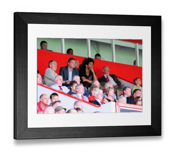 Framed Print : David James Watches from the Stands: Bristol City vs. Blackpool, Championship Match, Ashton Gate Stadium, 2010 Framed Print : David James Watches from the Stands: Bristol City vs. Blackpool, Championship Match, Ashton Gate Stadium, 2010