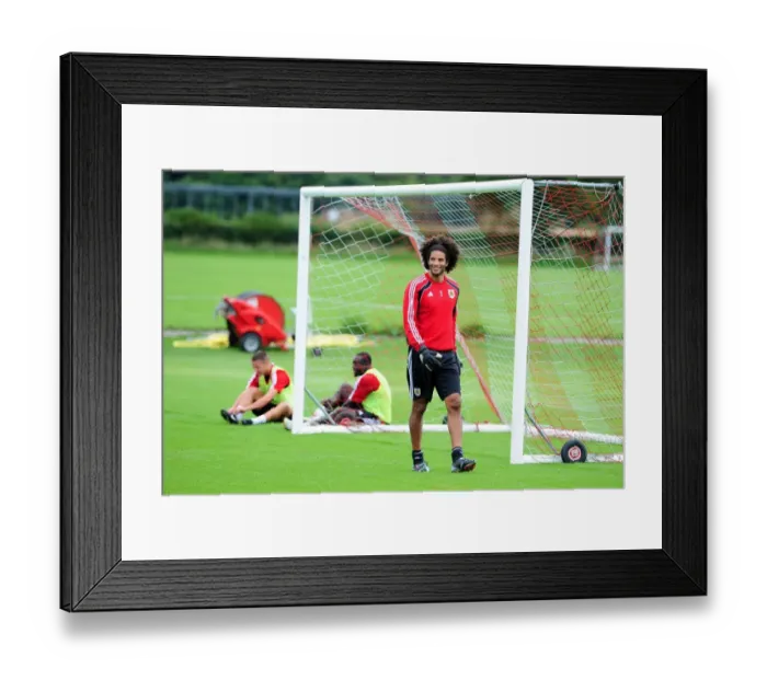 Framed Print : David James: England's Top Goalkeeper Begins New Journey with Bristol City Framed Print : David James: England's Top Goalkeeper Begins New Journey with Bristol City